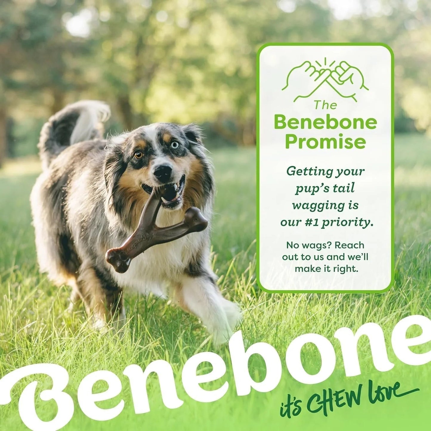 Benebone Wishbone Durable Toy ForDogs, For Heavy Chewers, Bacon Flavor Sheddingspetsupplies