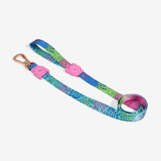 Melted | Leash Sheddingspetsupplies