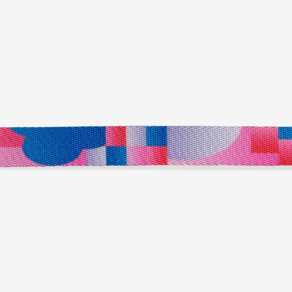 Noon | Collar Sheddingspetsupplies