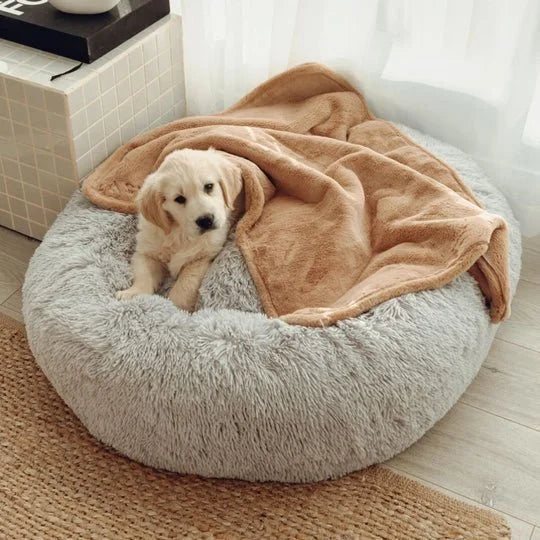 Double Weighted Luxury Blanket Sheddingspetsupplies