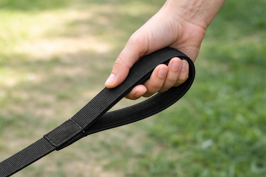 Durable Nylon Dog Leash – Strong Metal Clip & Comfortable Handle Sheddingspetsupplies