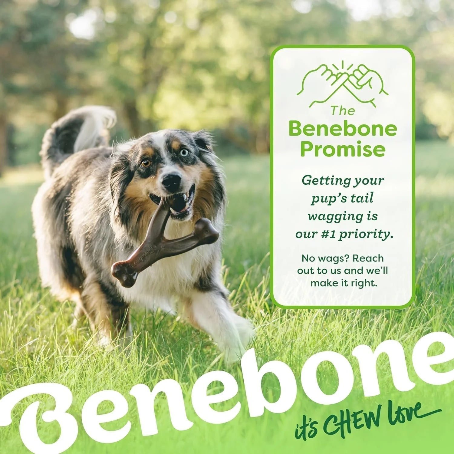 Benebone Wishbone Durable Toy ForDogs, For Heavy Chewers, Bacon Flavor Sheddingspetsupplies