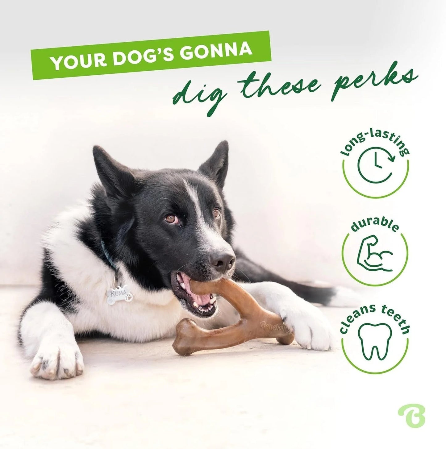 Benebone Wishbone Durable Toy ForDogs, For Heavy Chewers, Bacon Flavor Sheddingspetsupplies