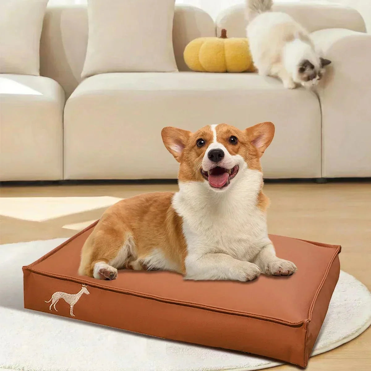 Waterproof Dog Cushion – Durability Meets Comfort Sheddingspetsupplies