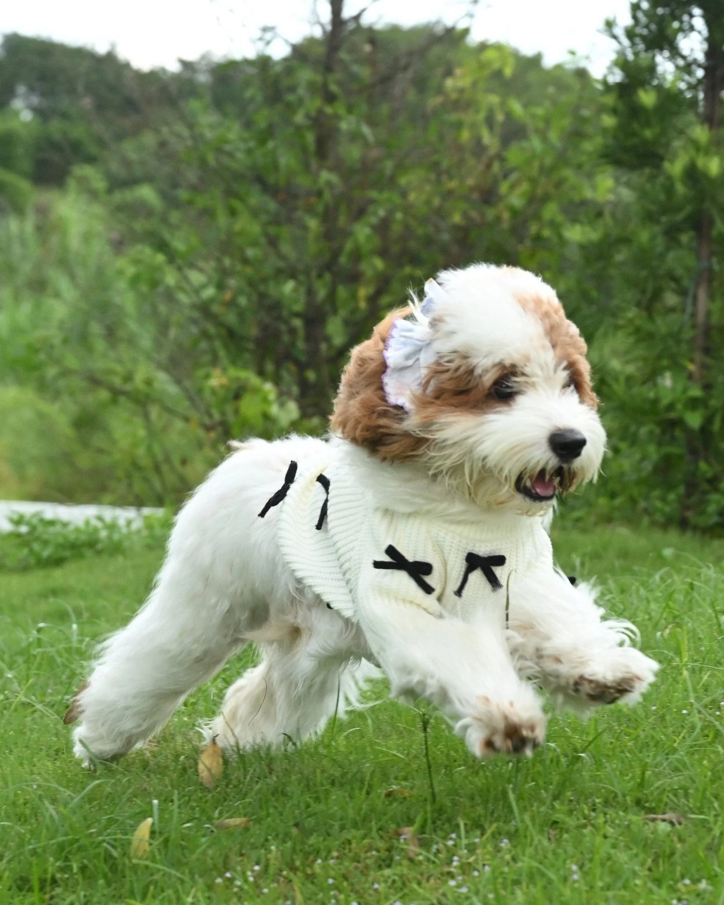 Premium Black 3D Bow Design Winter Sweater for Pets Sheddingspetsupplies