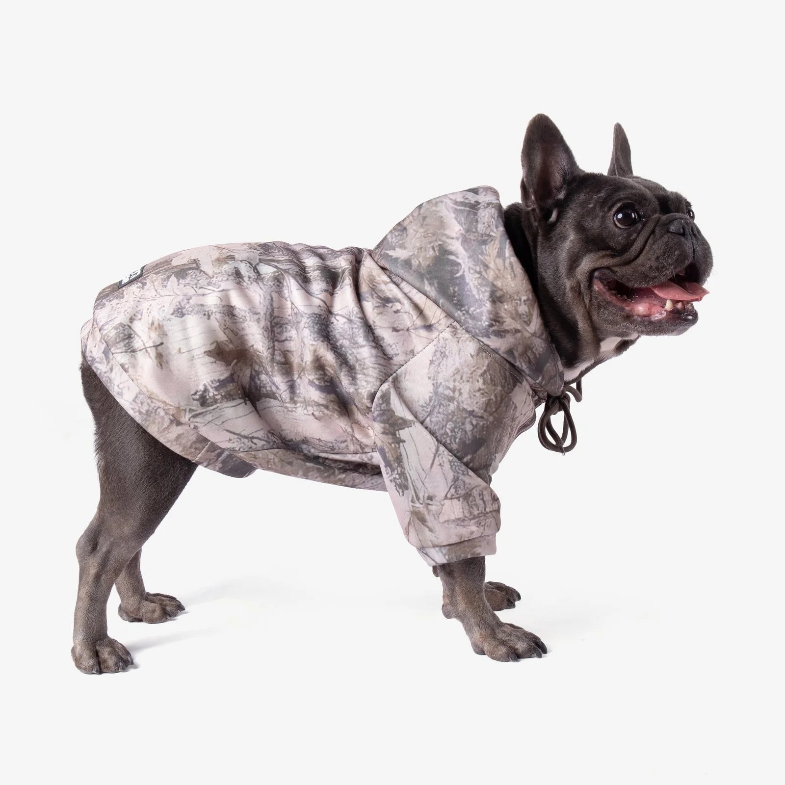 Camo Frenchie Hoodie Sheddingspetsupplies