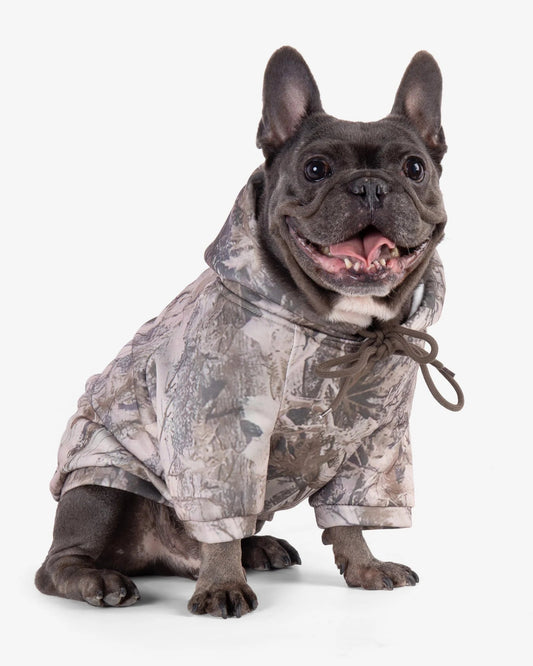 Camo Frenchie Hoodie Sheddingspetsupplies