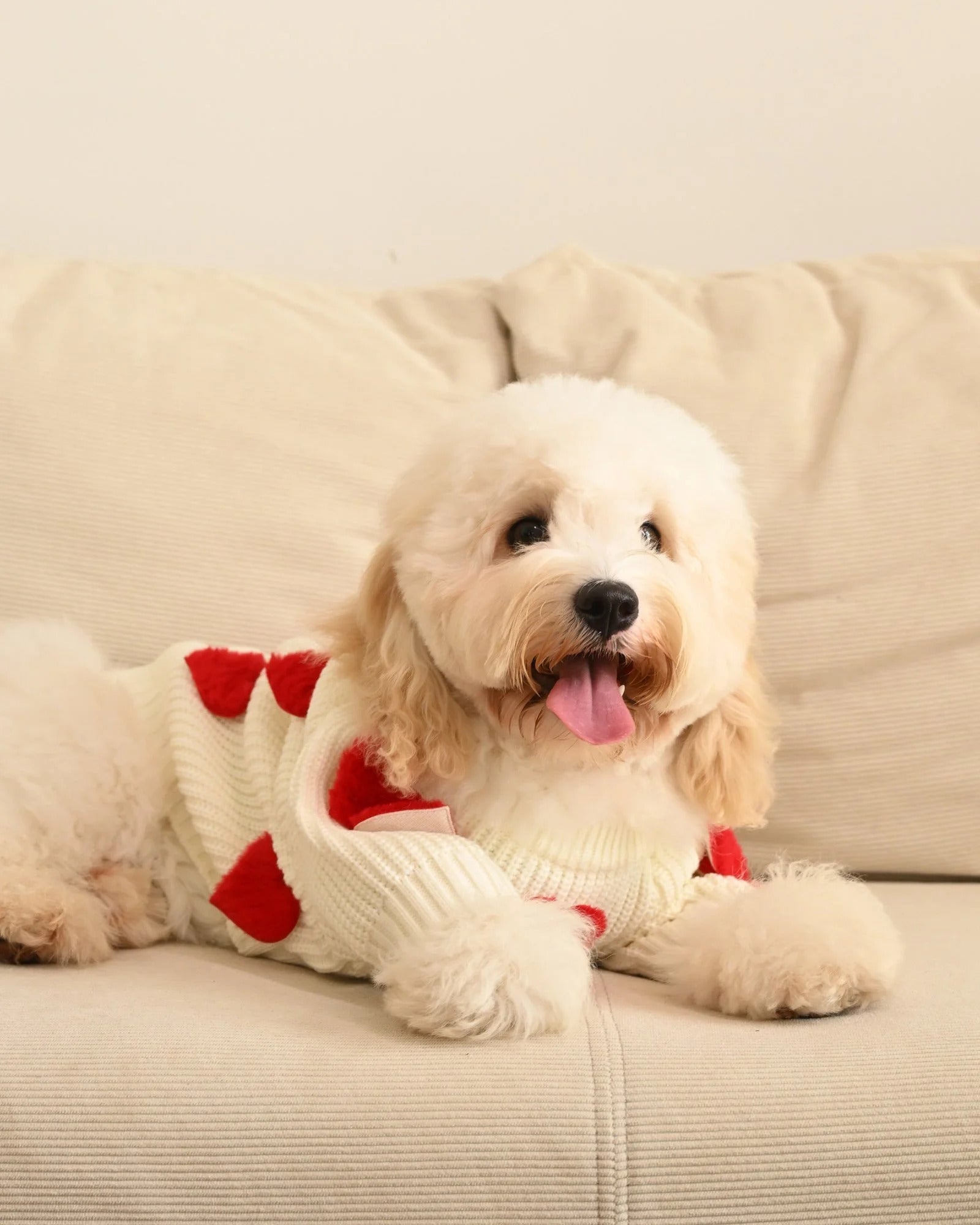 Cream Heart-3D Motif Pet Sweater Sheddingspetsupplies