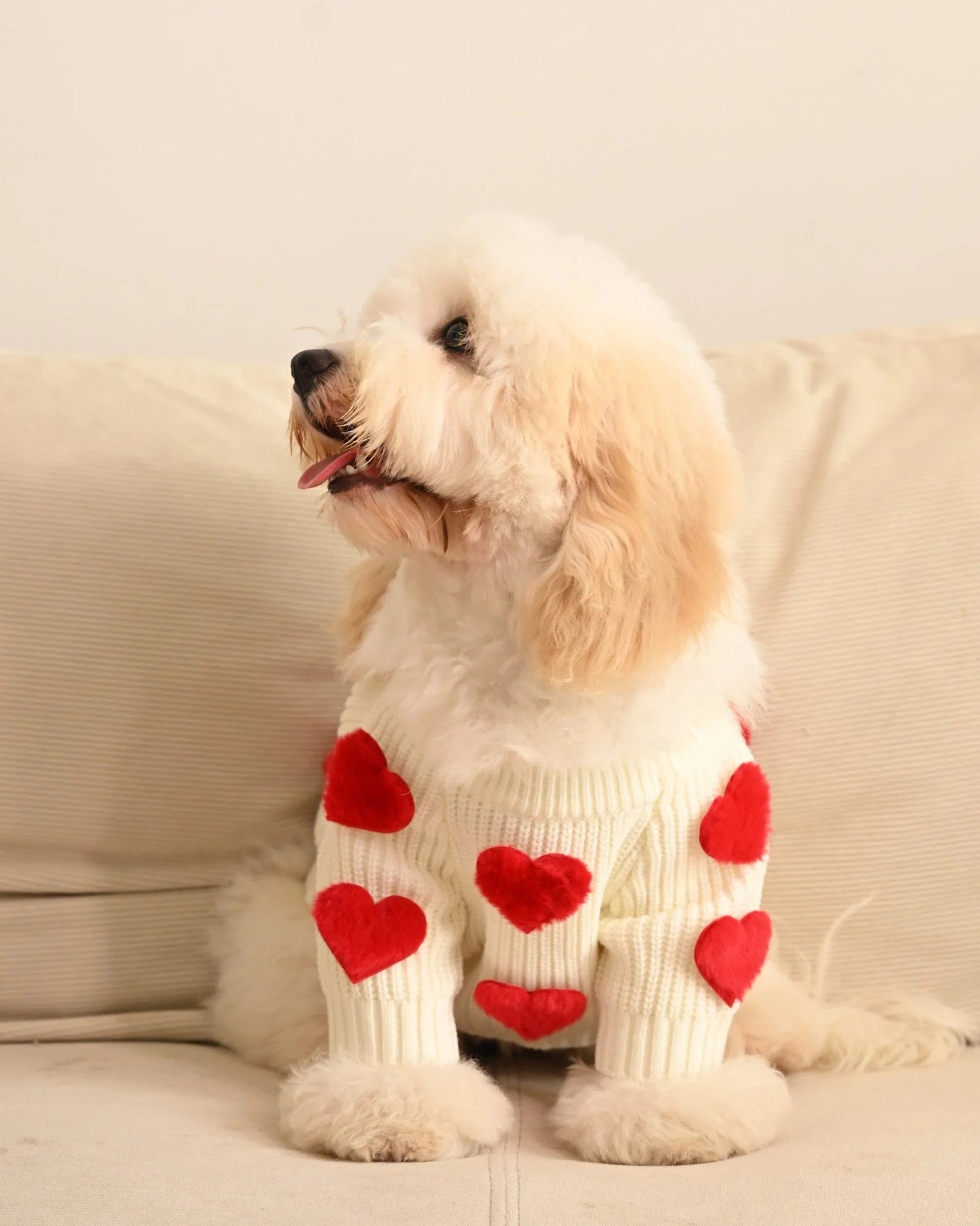 Cream Heart-3D Motif Pet Sweater Sheddingspetsupplies