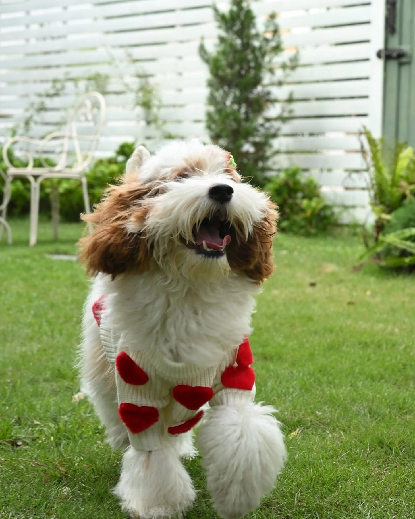 Cream Heart-3D Motif Pet Sweater Sheddingspetsupplies
