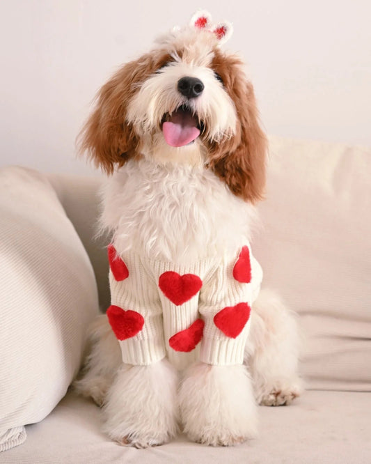 Cream Heart-3D Motif Pet Sweater Sheddingspetsupplies