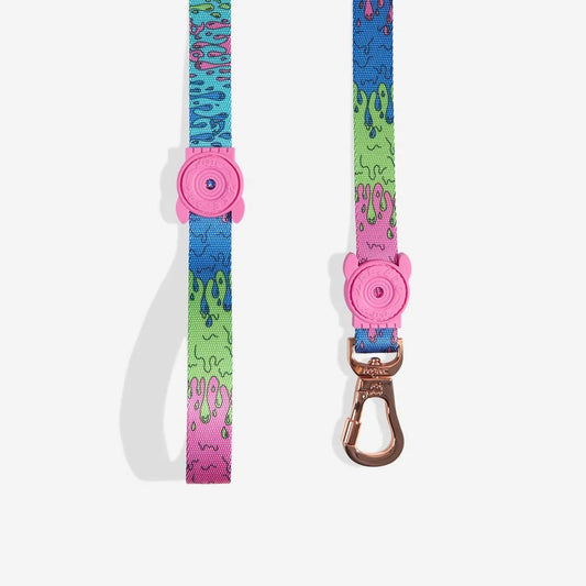 Melted | Leash Sheddingspetsupplies