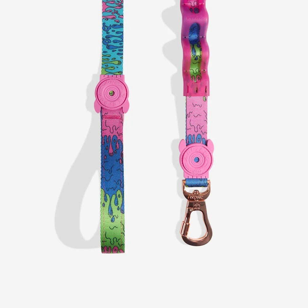 Melted | Ruff Leash 2.0 Sheddingspetsupplies