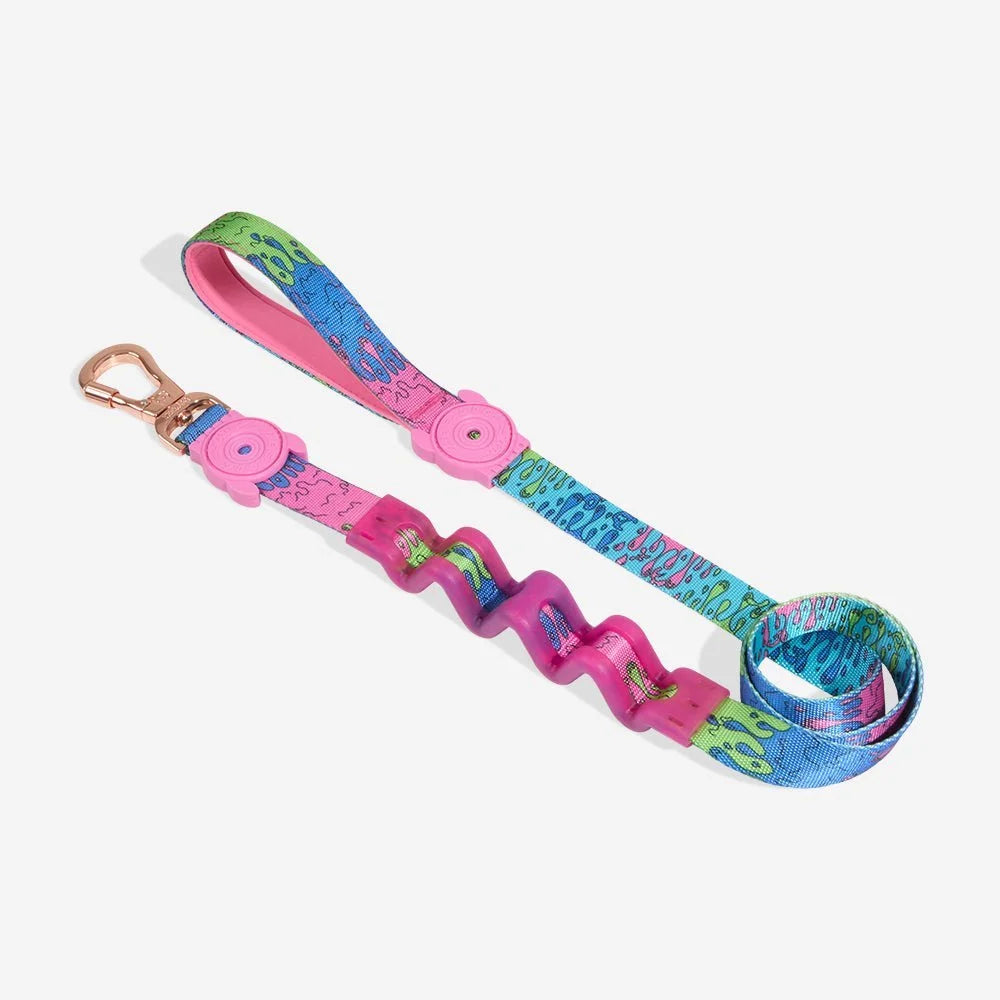 Melted | Ruff Leash 2.0 Sheddingspetsupplies