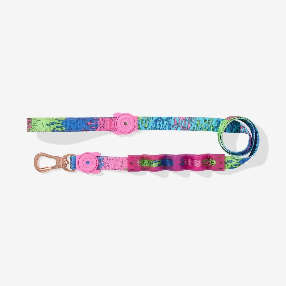 Melted | Ruff Leash 2.0 Sheddingspetsupplies