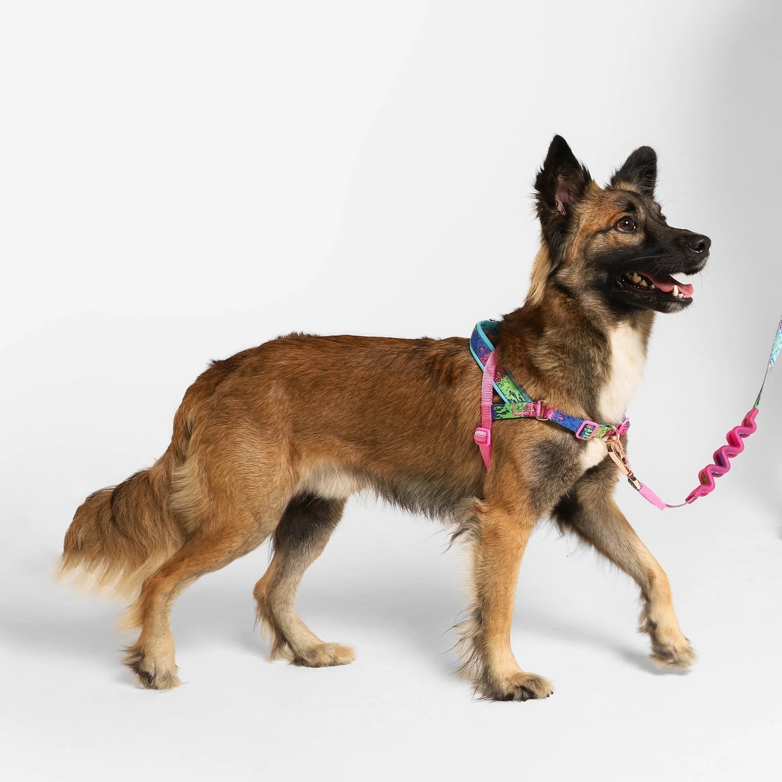 Melted | SofterWalk Harness Sheddingspetsupplies