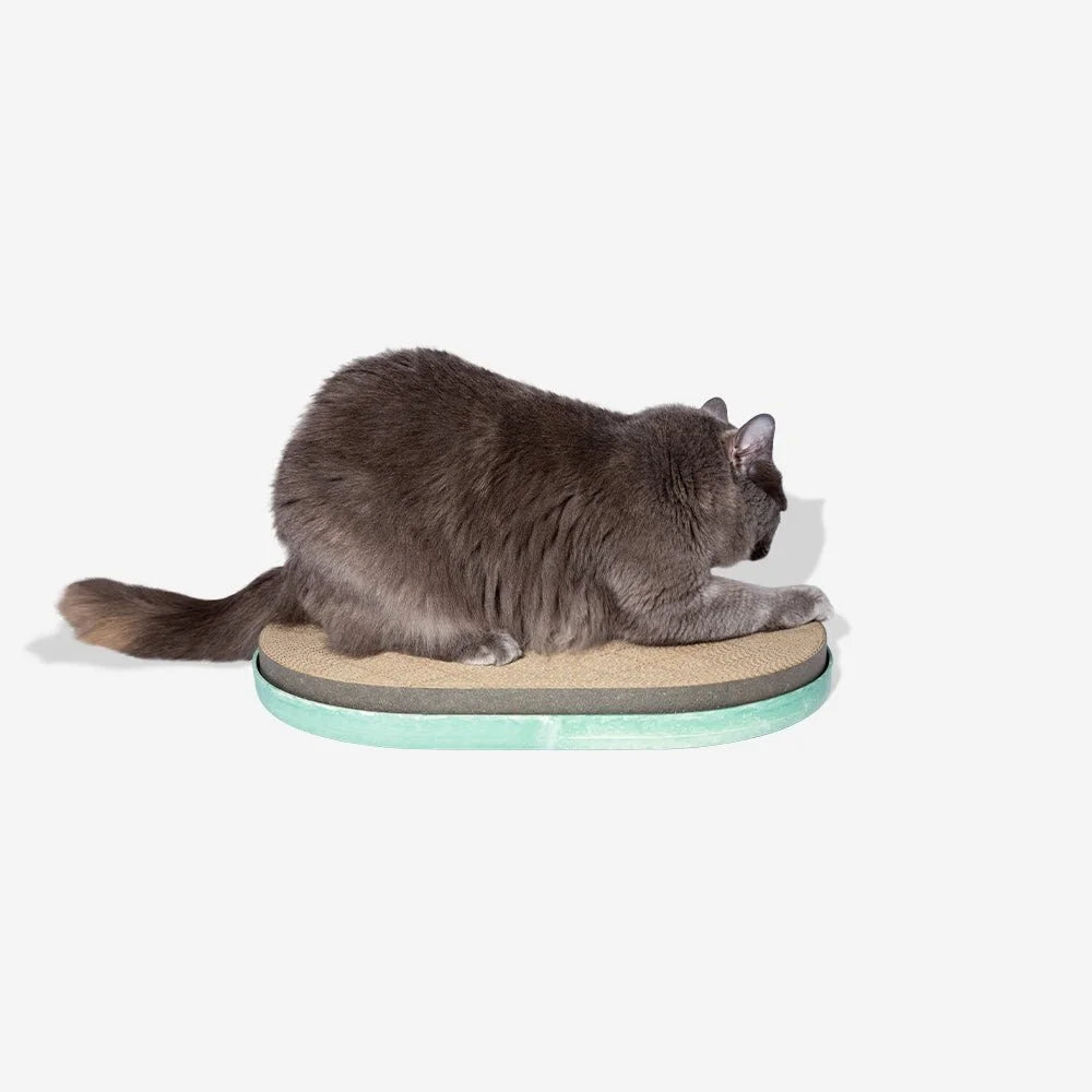 Mint | Cat Scratcher Sheddingspetsupplies