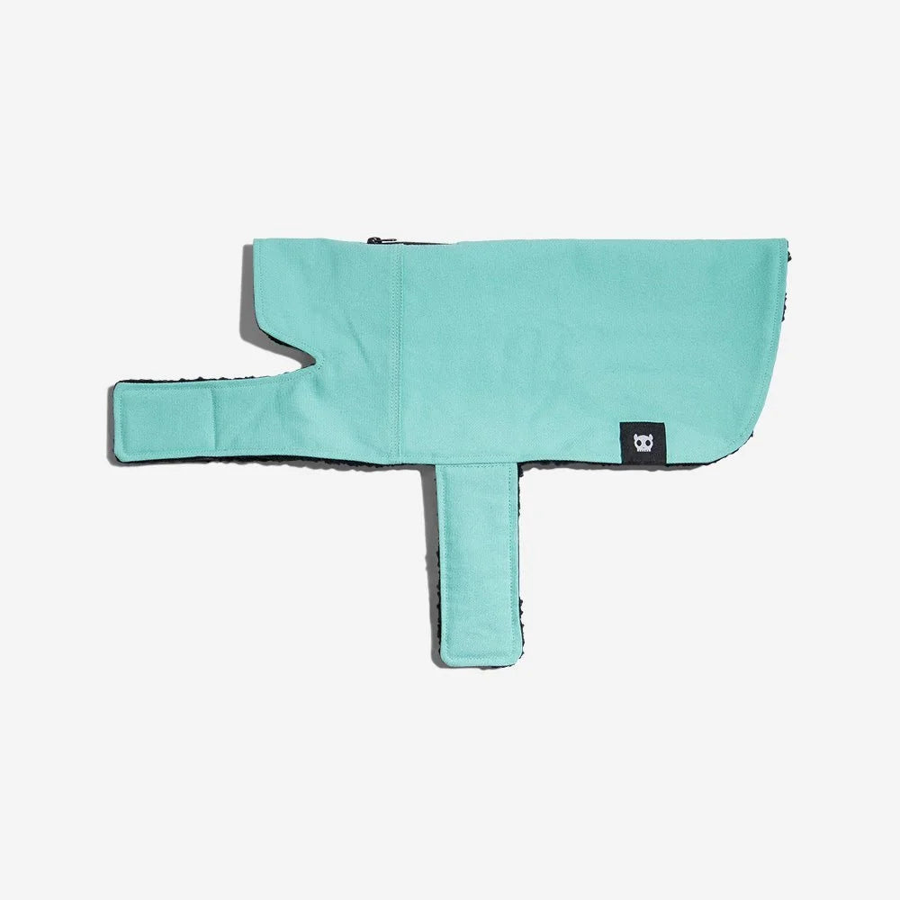 Mint | Winter Coat Sheddingspetsupplies