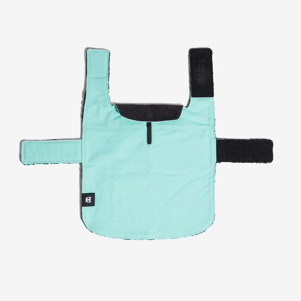 Mint | Winter Coat Sheddingspetsupplies