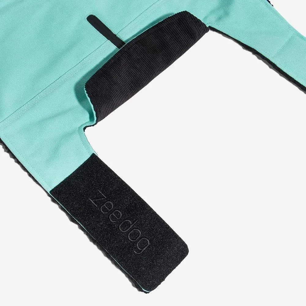 Mint | Winter Coat Sheddingspetsupplies