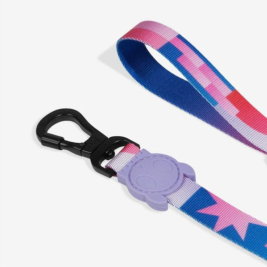 Noon | Leash Sheddingspetsupplies