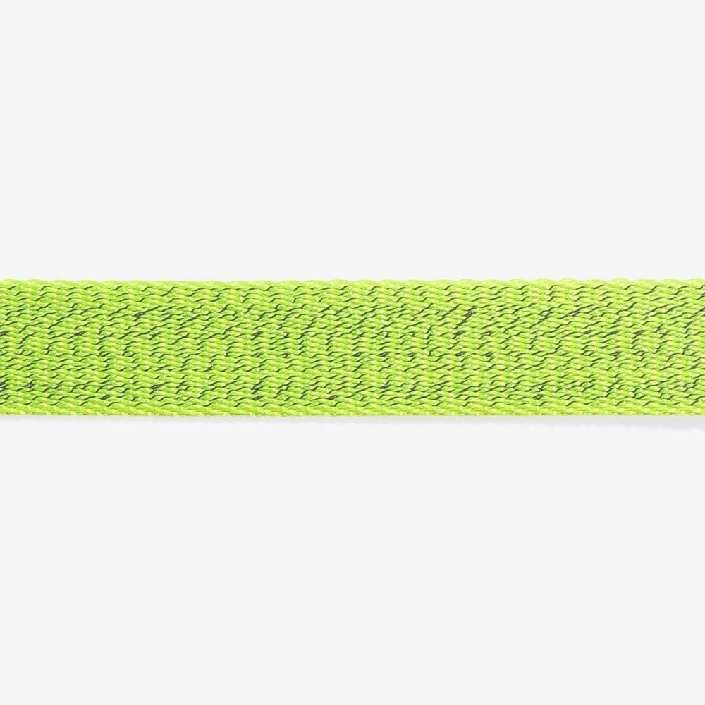 NOX Lumen | Cat Collar Sheddingspetsupplies
