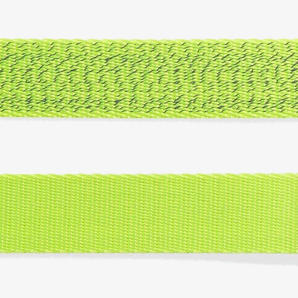 NOX Lumen | Cat Harness with Leash Sheddingspetsupplies