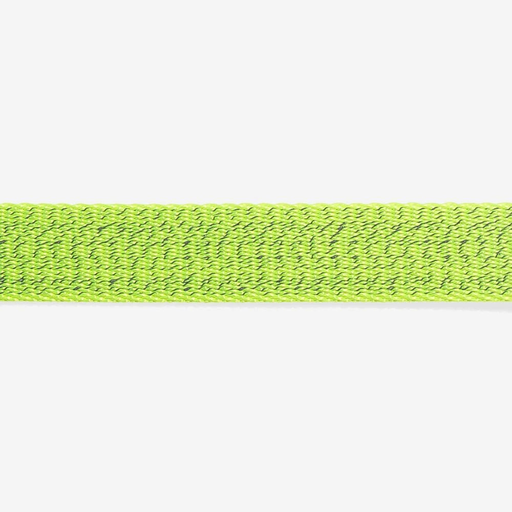 NOX Lumen | Collar Sheddingspetsupplies