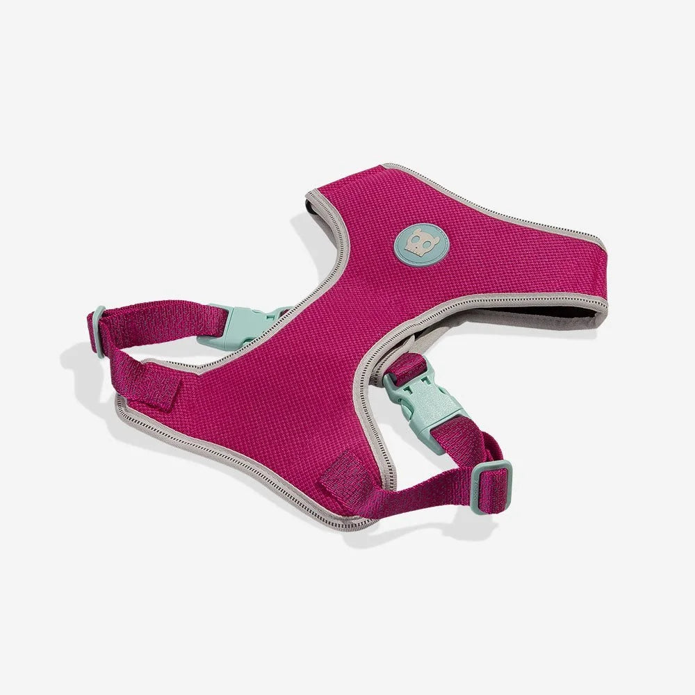 NOX Sidus | Adjustable Air Mesh Harness Sheddingspetsupplies