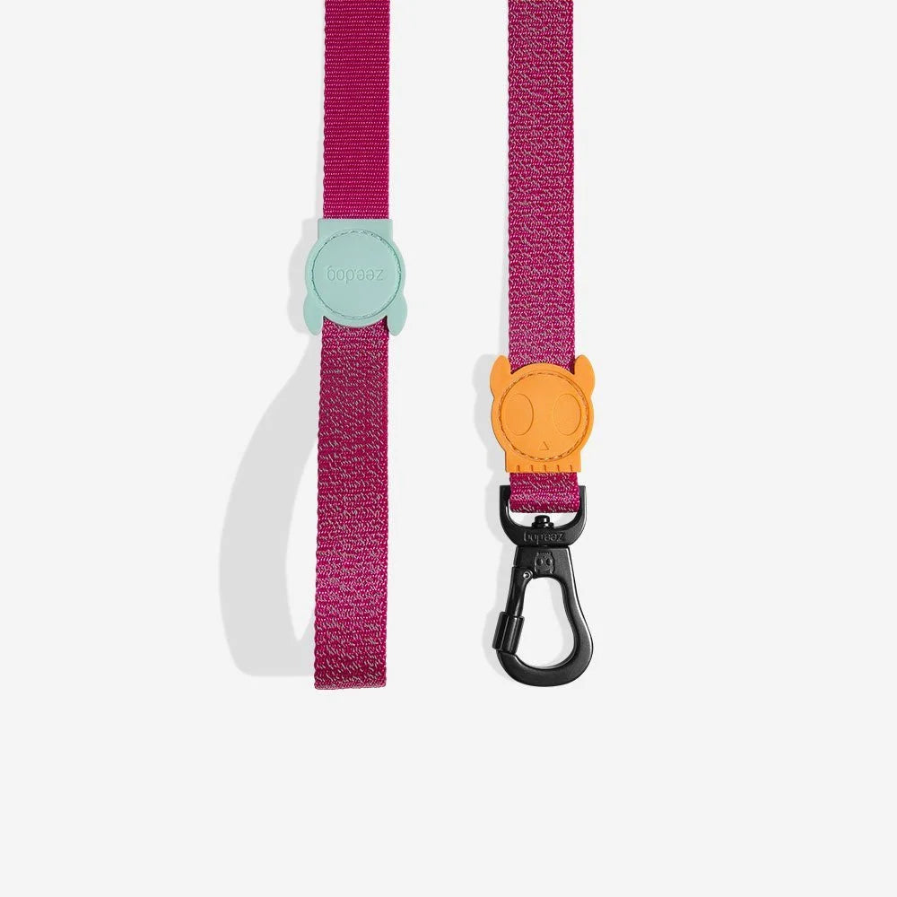 NOX Sidus | Leash Sheddingspetsupplies