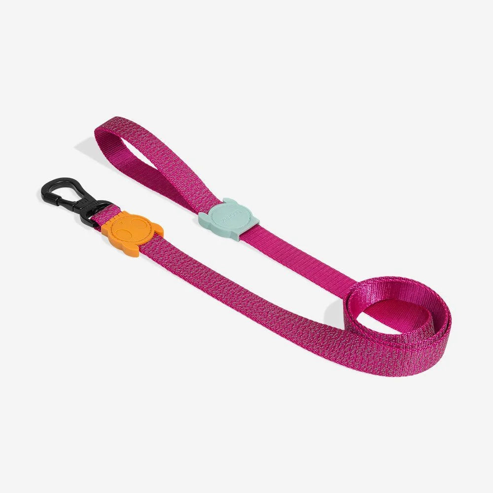 NOX Sidus | Leash Sheddingspetsupplies