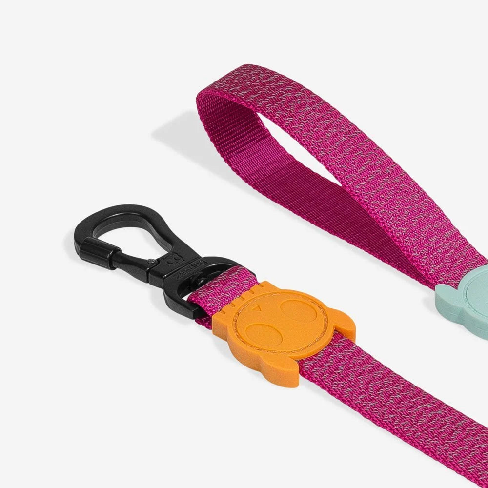 NOX Sidus | Leash Sheddingspetsupplies