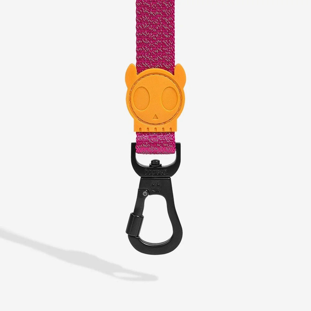 NOX Sidus | Leash Sheddingspetsupplies