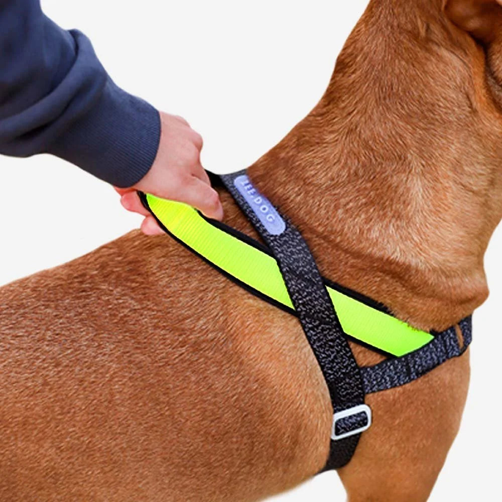NOX | SofterWalk Harness Sheddingspetsupplies