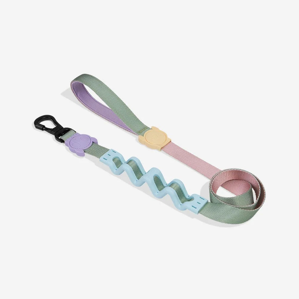 Peach | Ruff Leash 2.0 Sheddingspetsupplies