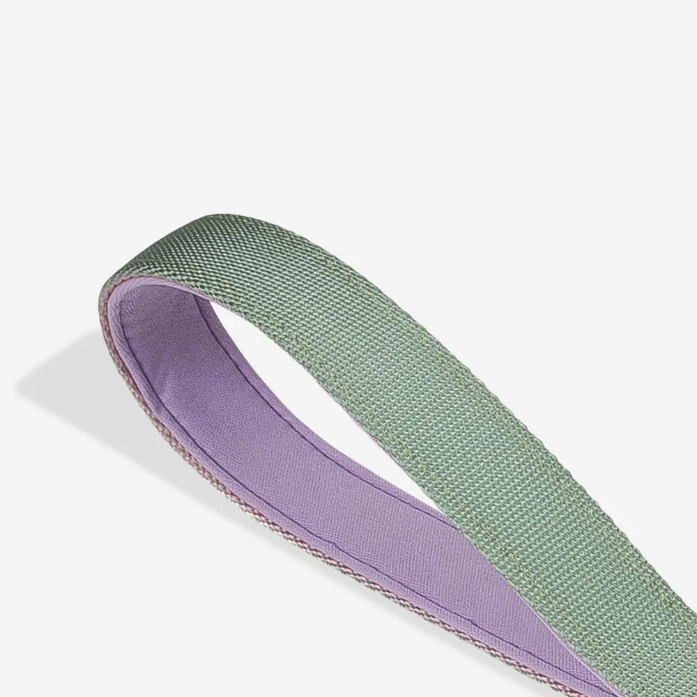 Peach | Ruff Leash 2.0 Sheddingspetsupplies