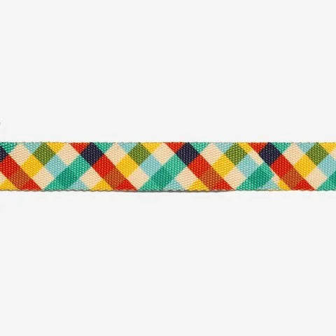 Phantom | Cat Collar Sheddingspetsupplies
