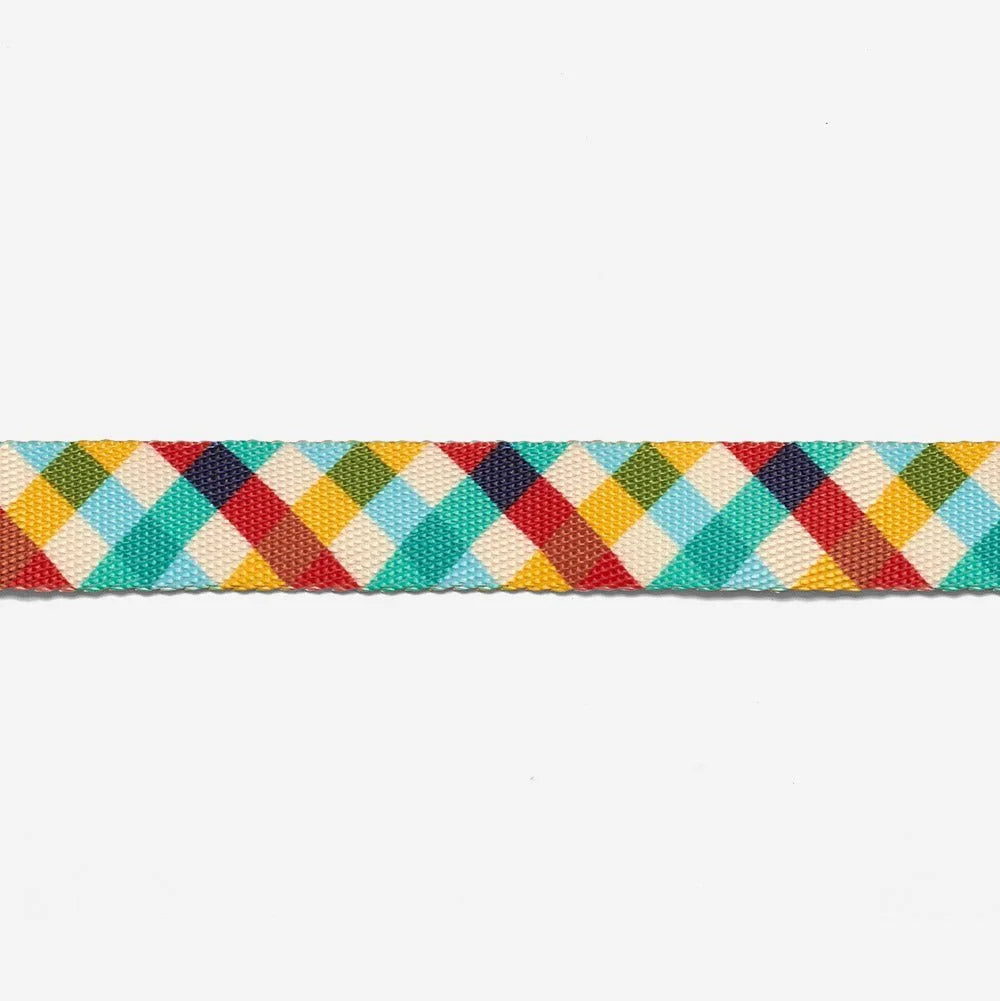 Phantom | Cat Harness with Leash Sheddingspetsupplies
