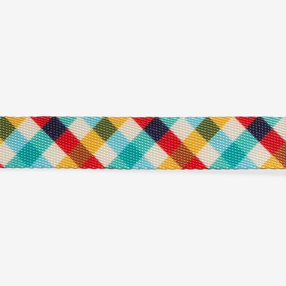 Phantom | Leash Sheddingspetsupplies