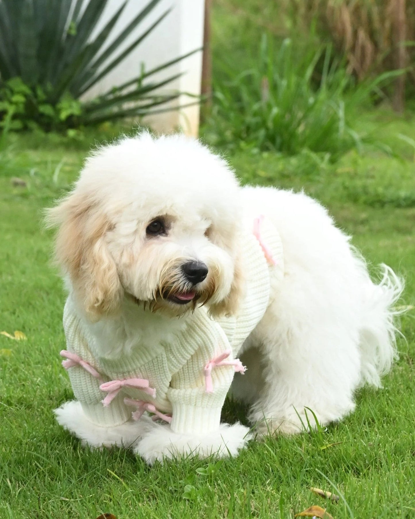 Pink Bow-3D Motif Pet Sweater Sheddingspetsupplies