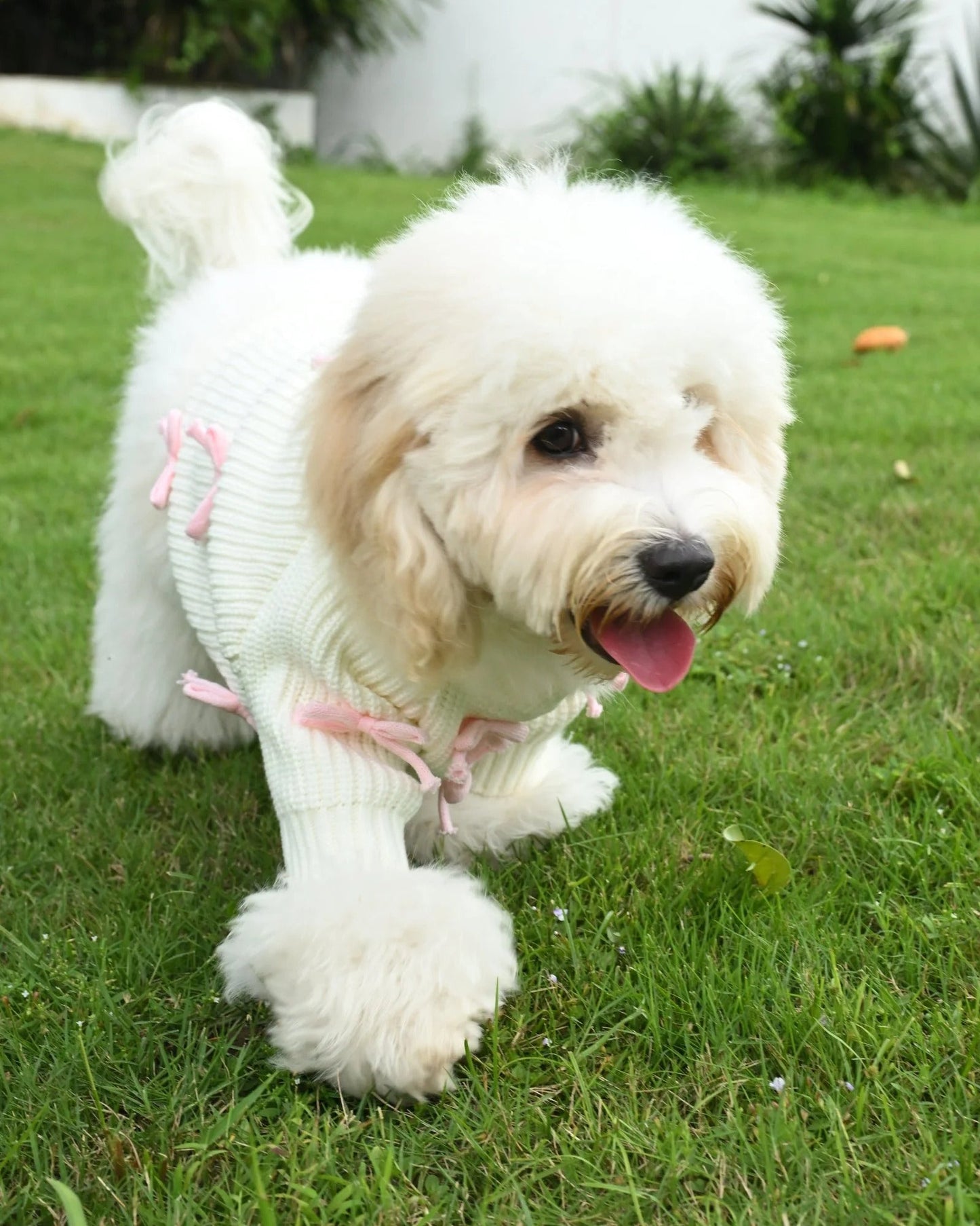 Pink Bow-3D Motif Pet Sweater Sheddingspetsupplies