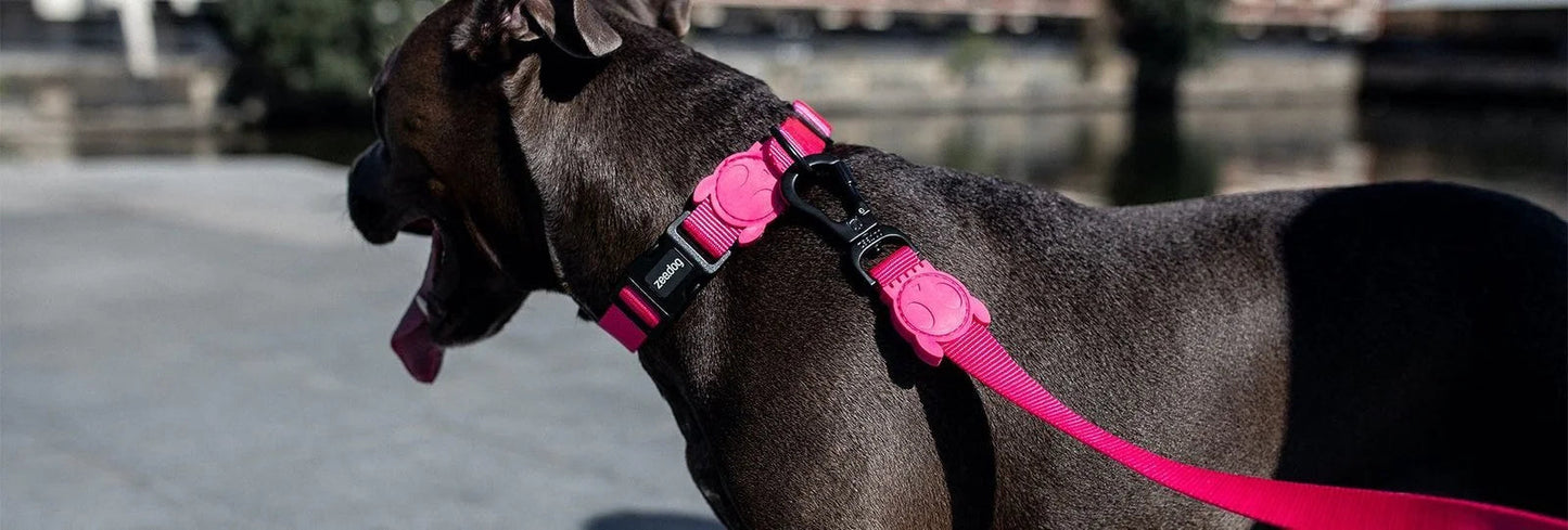 Pink LED | Adjustable Air Mesh Harness Sheddingspetsupplies