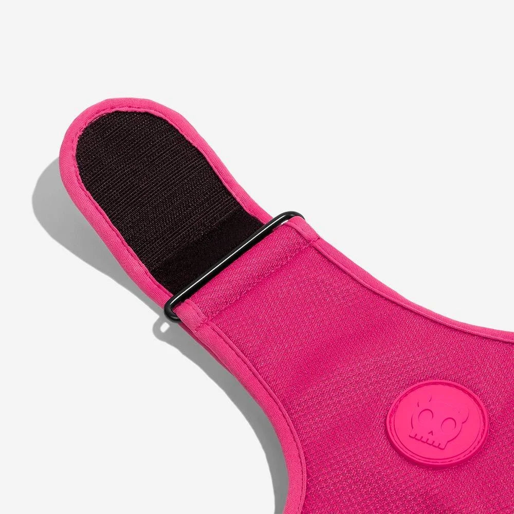 Pink LED | Adjustable Air Mesh Harness Sheddingspetsupplies