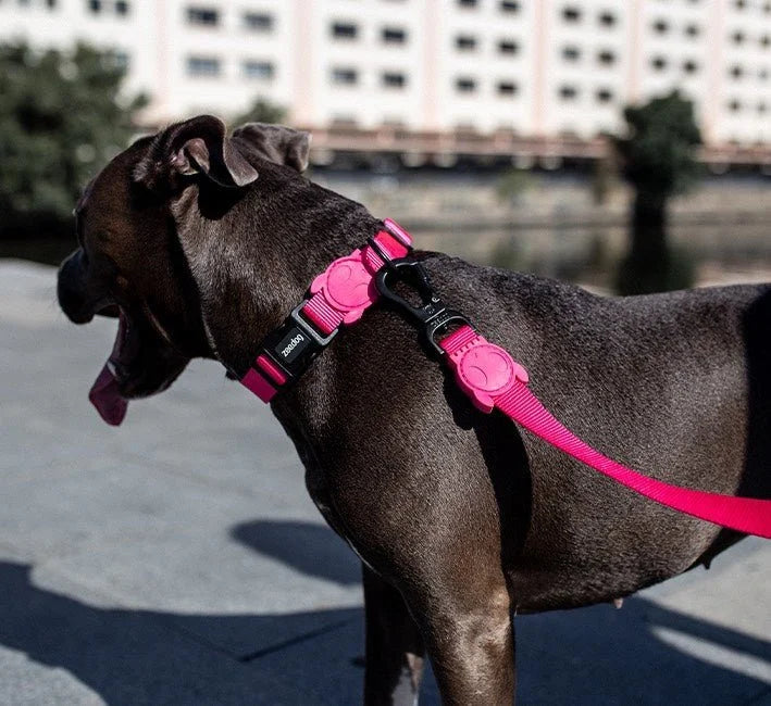 Pink LED | Adjustable Air Mesh Harness Sheddingspetsupplies
