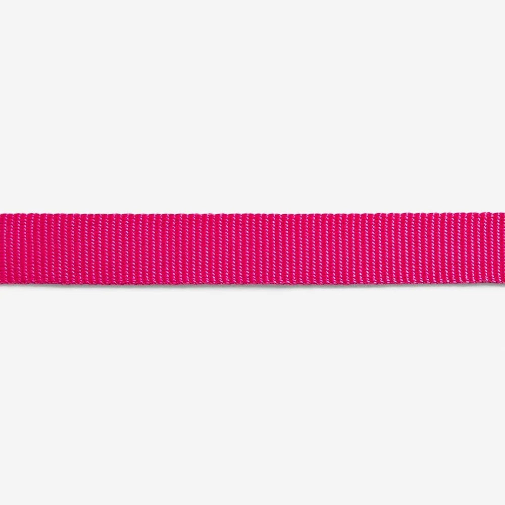 Pink LED | Cat Collar Sheddingspetsupplies