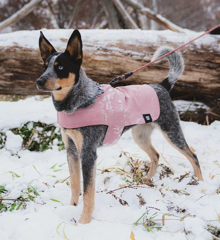 Pink | Coat Sheddingspetsupplies