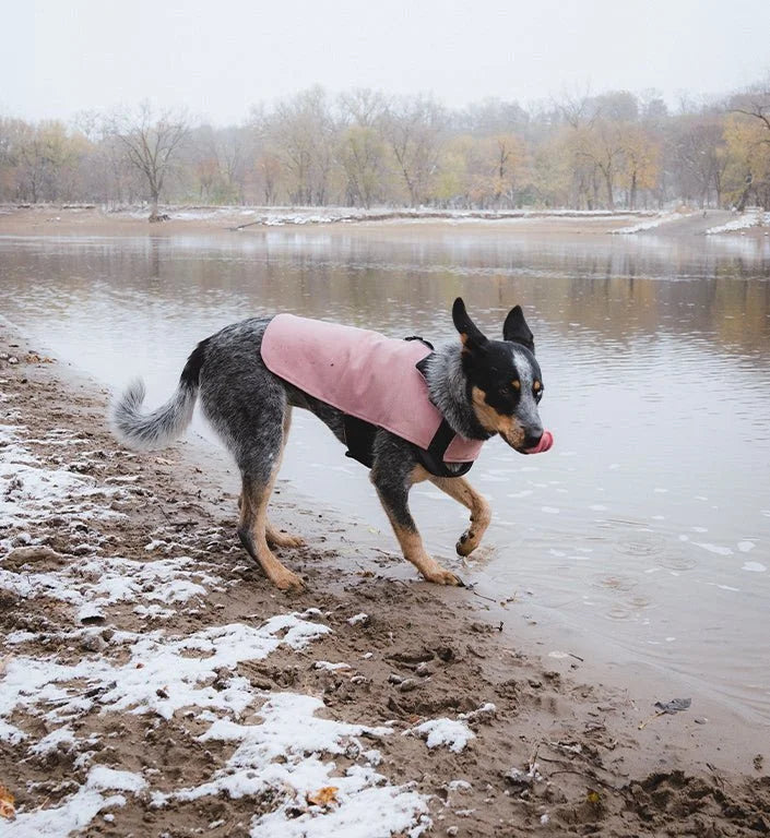 Pink | Coat Sheddingspetsupplies