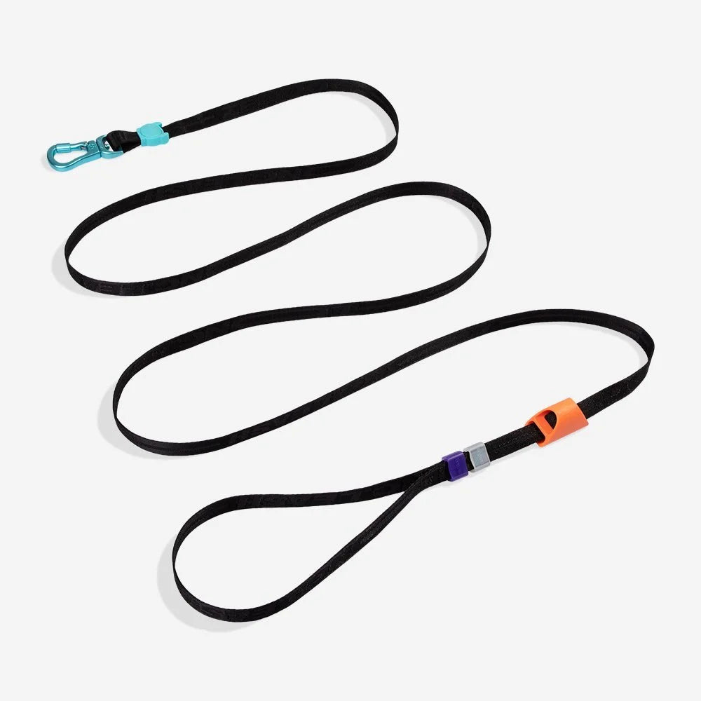 Segundo | Long Leash 2.0 Sheddingspetsupplies