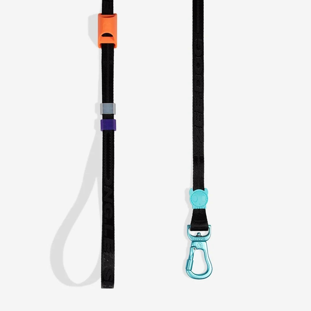 Segundo | Long Leash 2.0 Sheddingspetsupplies