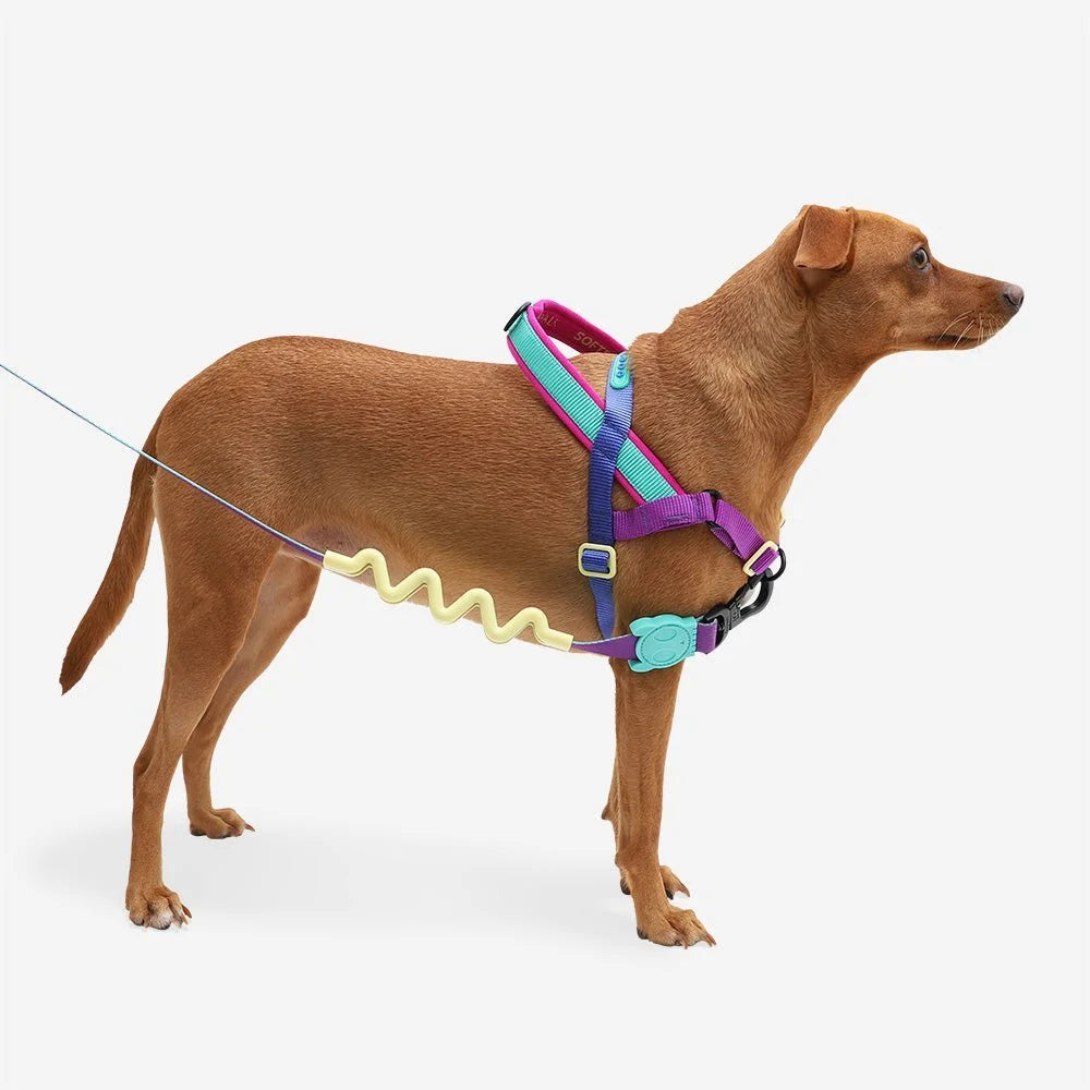 Shockwave | SofterWalk Harness Sheddingspetsupplies